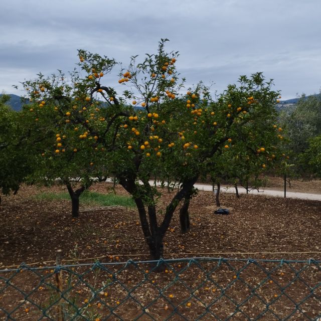 Dolce vita Pugliában