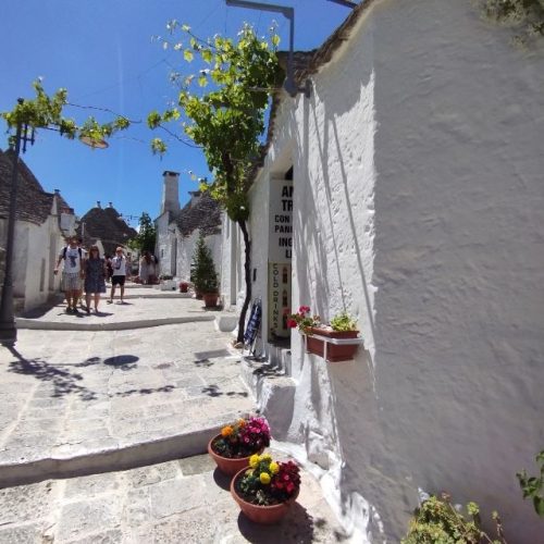 IMG 20240523 114452V